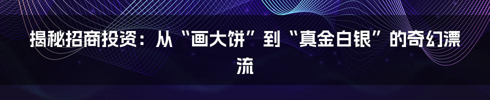 揭秘招商投资：从“画大饼”到“真金白银”的奇幻漂流