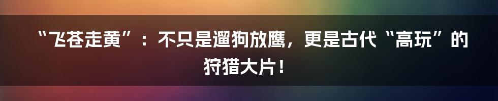 “飞苍走黄”：不只是遛狗放鹰，更是古代“高玩”的狩猎大片！