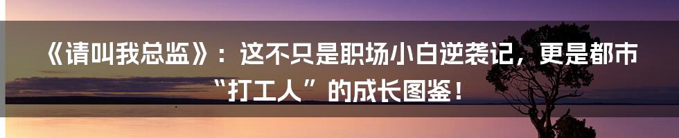 《请叫我总监》：这不只是职场小白逆袭记，更是都市“打工人”的成长图鉴！