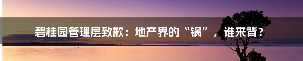 碧桂园管理层致歉：地产界的“锅”，谁来背？