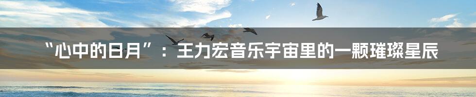 “心中的日月”：王力宏音乐宇宙里的一颗璀璨星辰