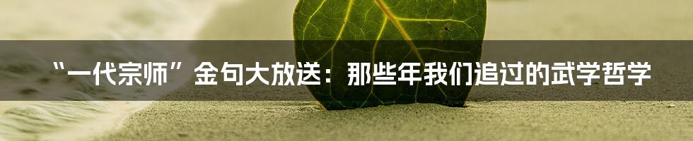 “一代宗师”金句大放送：那些年我们追过的武学哲学