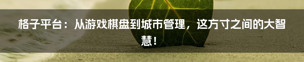 格子平台：从游戏棋盘到城市管理，这方寸之间的大智慧！