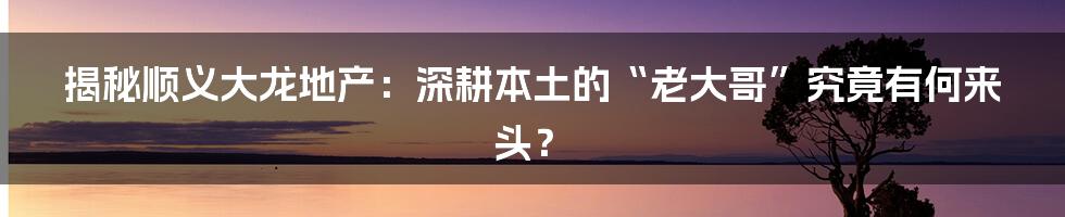揭秘顺义大龙地产：深耕本土的“老大哥”究竟有何来头？