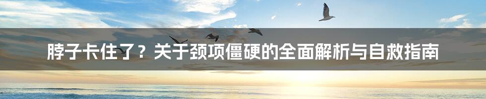 脖子卡住了？关于颈项僵硬的全面解析与自救指南