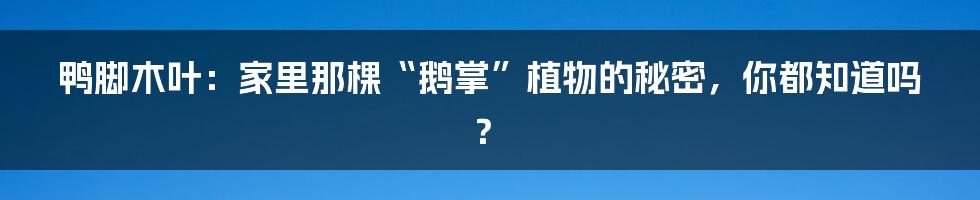 鸭脚木叶：家里那棵“鹅掌”植物的秘密，你都知道吗？