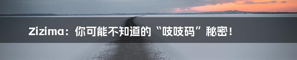 Zizima：你可能不知道的“吱吱码”秘密！