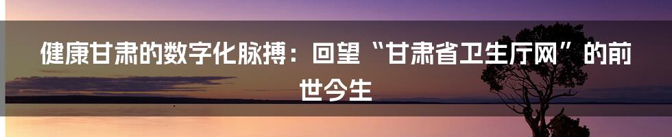 健康甘肃的数字化脉搏：回望“甘肃省卫生厅网”的前世今生