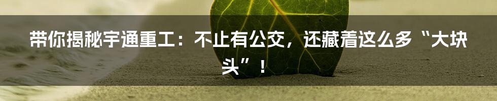 带你揭秘宇通重工：不止有公交，还藏着这么多“大块头”！