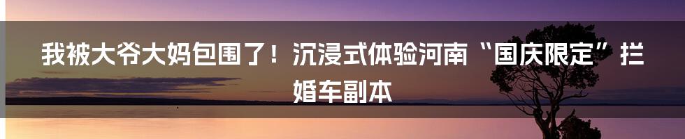 我被大爷大妈包围了！沉浸式体验河南“国庆限定”拦婚车副本