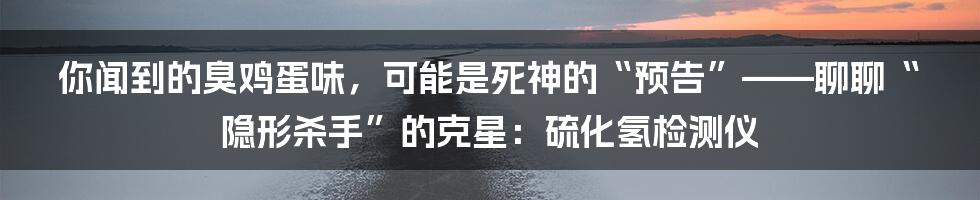 你闻到的臭鸡蛋味，可能是死神的“预告”——聊聊“隐形杀手”的克星：硫化氢检测仪
