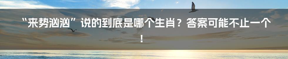“来势汹汹”说的到底是哪个生肖？答案可能不止一个！