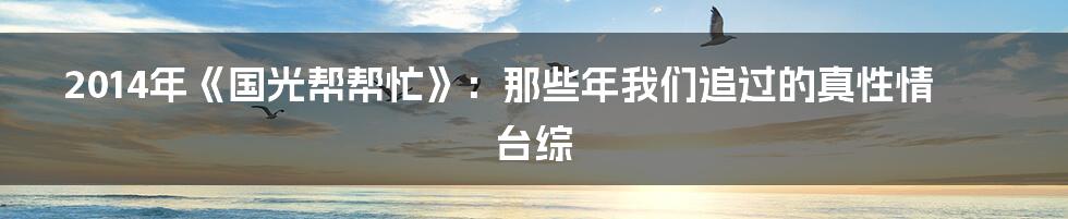 2014年《国光帮帮忙》:那些年我们追过的真性情台综