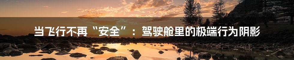当飞行不再“安全”：驾驶舱里的极端行为阴影
