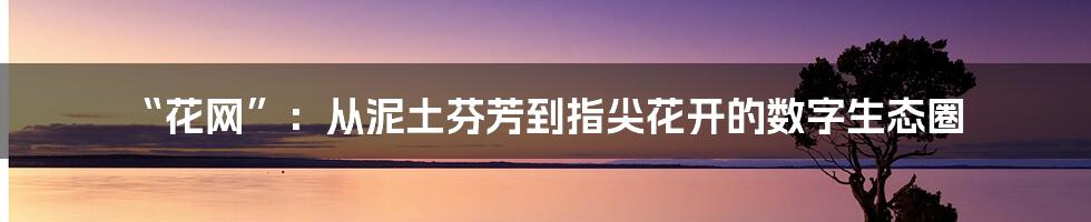 “花网”：从泥土芬芳到指尖花开的数字生态圈