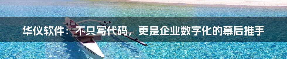 华仪软件：不只写代码，更是企业数字化的幕后推手