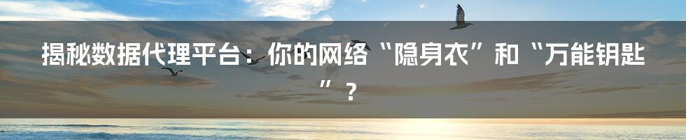 揭秘数据代理平台：你的网络“隐身衣”和“万能钥匙”？