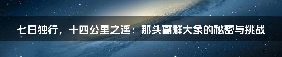 七日独行，十四公里之遥：那头离群大象的秘密与挑战