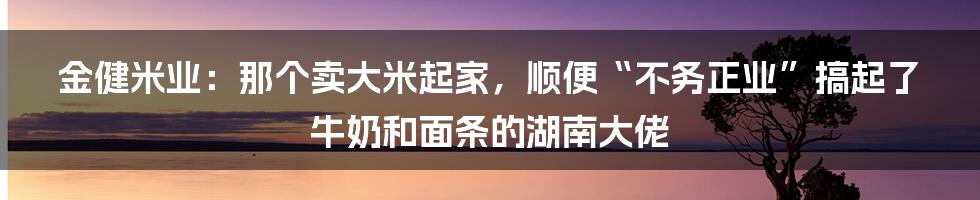 金健米业：那个卖大米起家，顺便“不务正业”搞起了牛奶和面条的湖南大佬