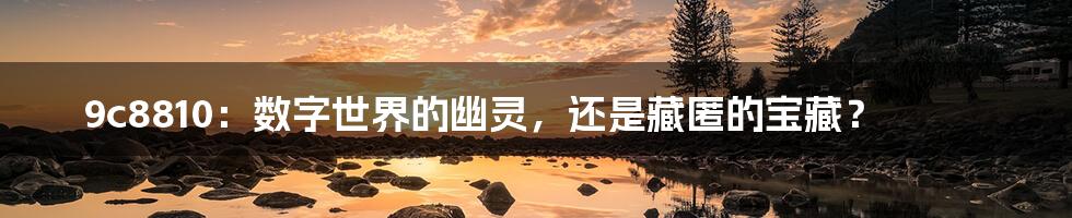 9c8810：数字世界的幽灵，还是藏匿的宝藏？