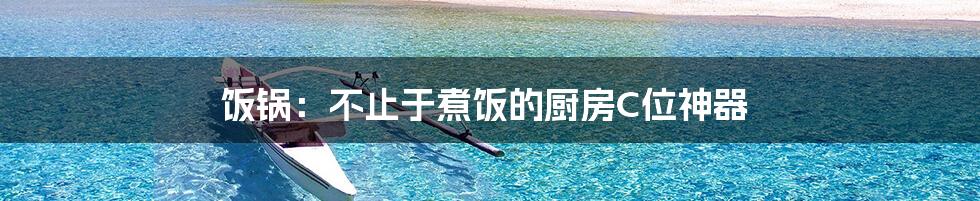 饭锅：不止于煮饭的厨房C位神器