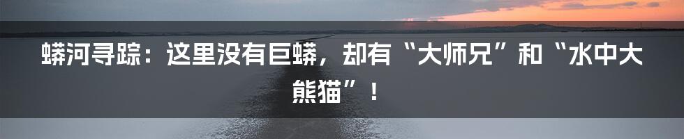 蟒河寻踪:这里没有巨蟒,却有“大师兄”和“水中大熊猫”!