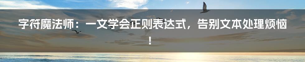 字符魔法师：一文学会正则表达式，告别文本处理烦恼！