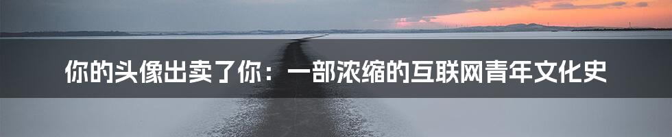 你的头像出卖了你：一部浓缩的互联网青年文化史