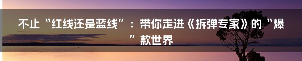 不止“红线还是蓝线”：带你走进《拆弹专家》的“爆”款世界