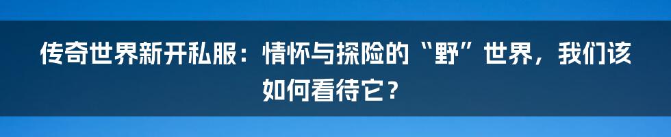 传奇世界新开私服:情怀与探险的“野”世界,我们该如何看待它?