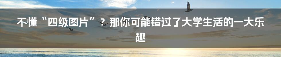 不懂“四级图片”？那你可能错过了大学生活的一大乐趣