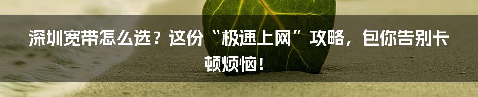 深圳宽带怎么选？这份“极速上网”攻略，包你告别卡顿烦恼！