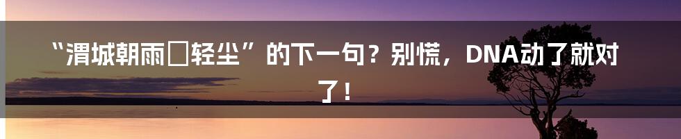 “渭城朝雨浥轻尘”的下一句？别慌，DNA动了就对了！