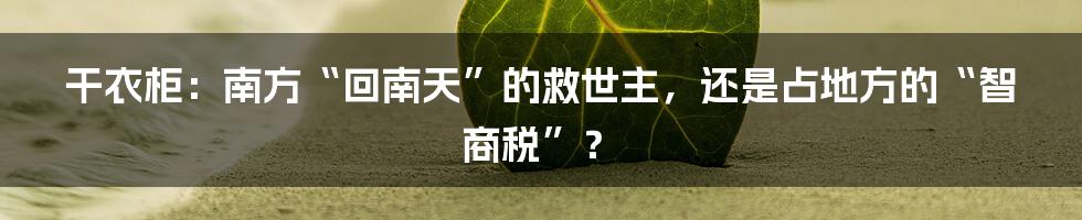 干衣柜：南方“回南天”的救世主，还是占地方的“智商税”？