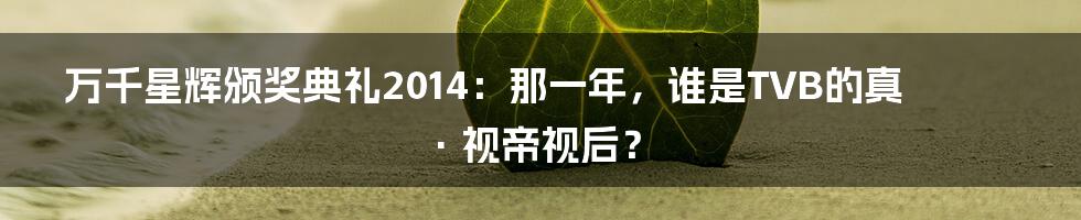 万千星辉颁奖典礼2014:那一年,谁是TVB的真·视帝视后?