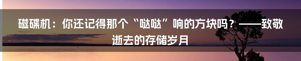 磁碟机：你还记得那个“哒哒”响的方块吗？——致敬逝去的存储岁月