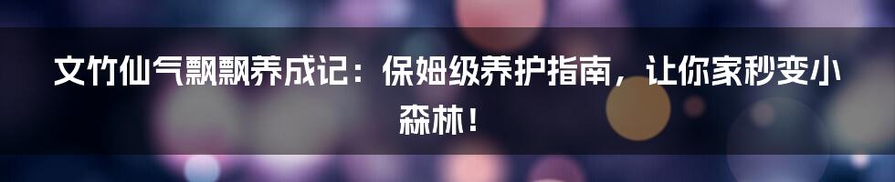 文竹仙气飘飘养成记:保姆级养护指南,让你家秒变小森林!