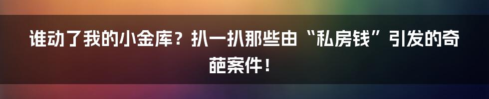 谁动了我的小金库？扒一扒那些由“私房钱”引发的奇葩案件！