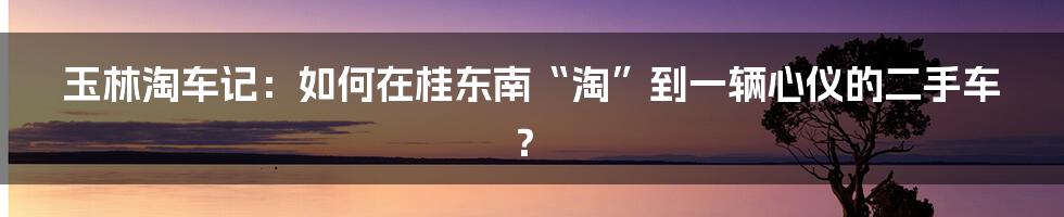 玉林淘车记：如何在桂东南“淘”到一辆心仪的二手车？