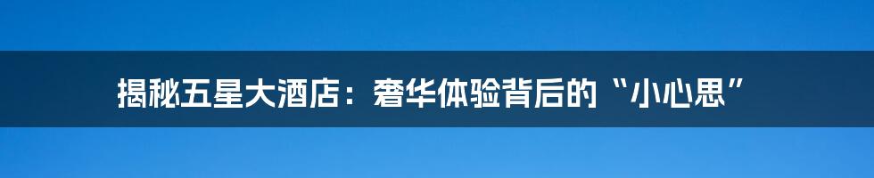 揭秘五星大酒店:奢华体验背后的“小心思”