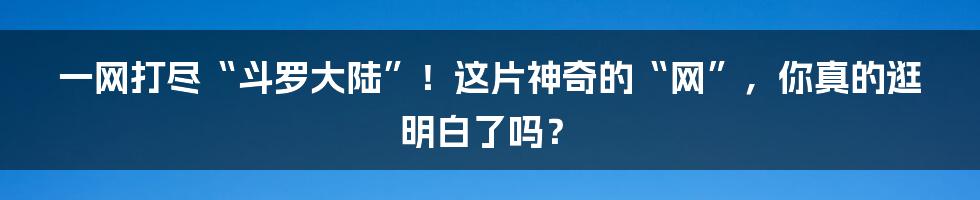 一网打尽“斗罗大陆”!这片神奇的“网”,你真的逛明白了吗?