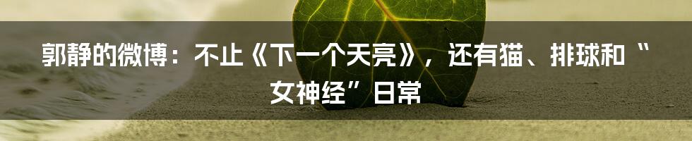 郭静的微博:不止《下一个天亮》,还有猫、排球和“女神经”日常