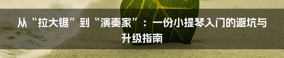 从“拉大锯”到“演奏家”：一份小提琴入门的避坑与升级指南