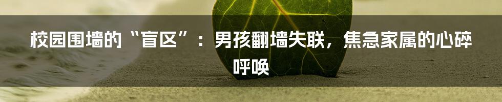 校园围墙的“盲区”：男孩翻墙失联，焦急家属的心碎呼唤