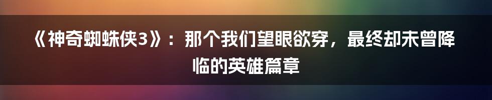 《神奇蜘蛛侠3》:那个我们望眼欲穿,最终却未曾降临的英雄篇章