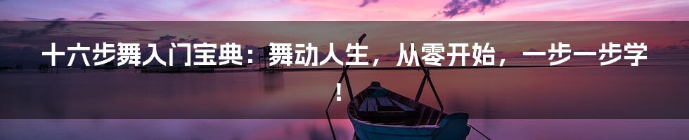 十六步舞入门宝典：舞动人生，从零开始，一步一步学！
