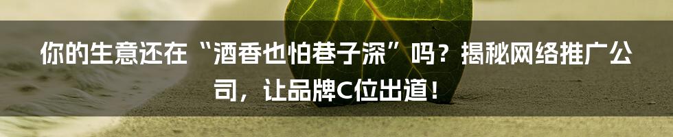 你的生意还在“酒香也怕巷子深”吗?揭秘网络推广公司,让品牌C位出道!