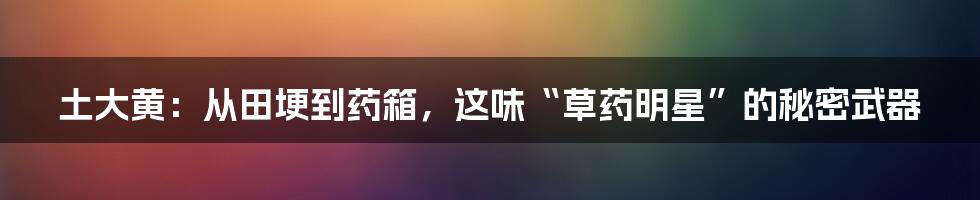 土大黄:从田埂到药箱,这味“草药明星”的秘密武器