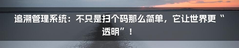 追溯管理系统：不只是扫个码那么简单，它让世界更“透明”！