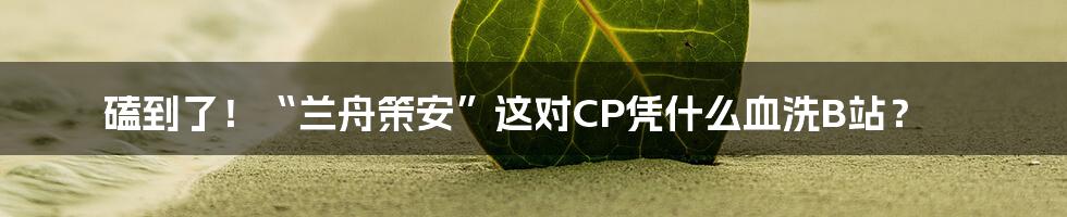 磕到了！“兰舟策安”这对CP凭什么血洗B站？